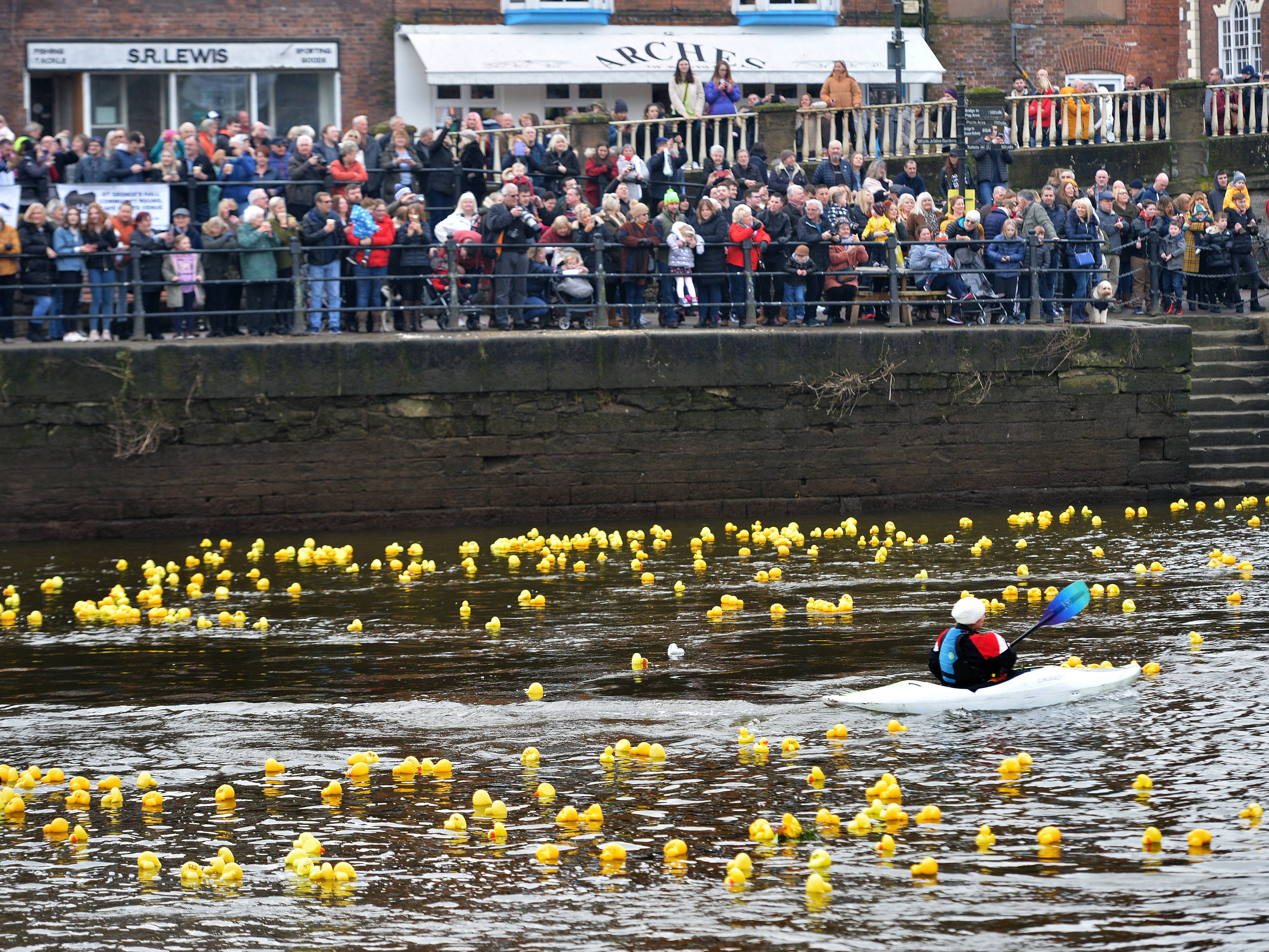 Quackers! Thousands turn out for Bewdley duck race - with pictures