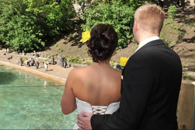 Dudley Zoo, Picture from: https://www.dudleyzoo.org.uk/unique-wedding-venue/