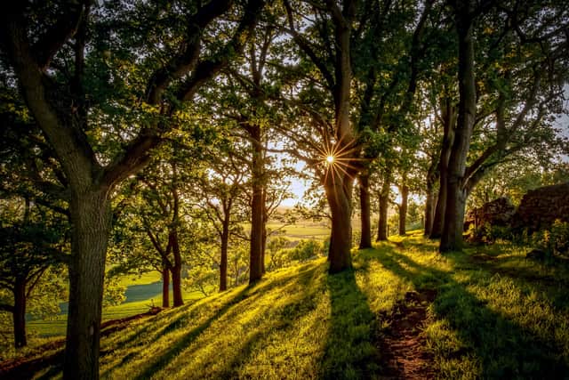 The idyllic views