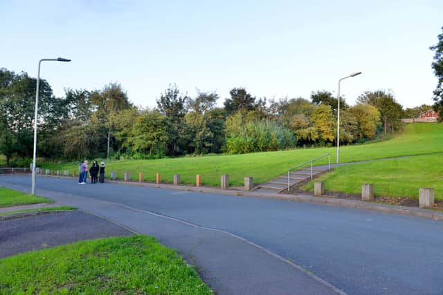 The grassland currently clear of trees is not included in the plans