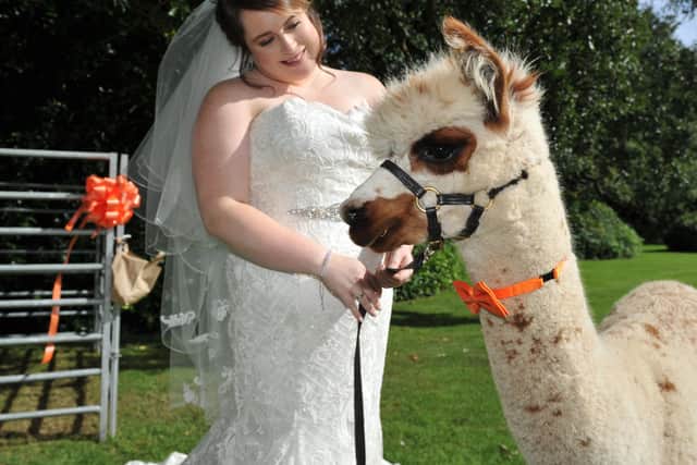 Emily with Alfie the alpaca