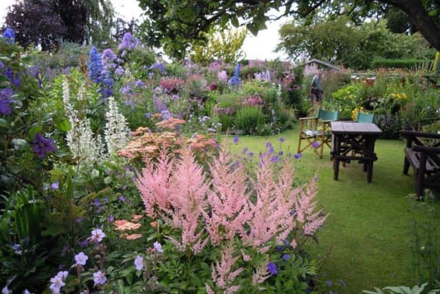 The garden at Grafton Cottage will open this weekend.