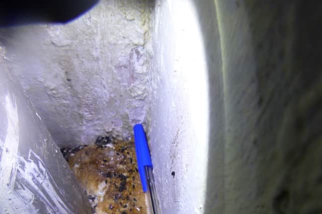 Droppings could be seen on expanding foam next to a pipe