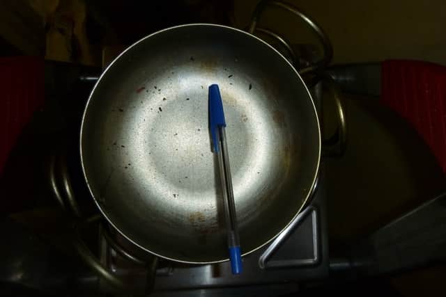 Droppings were also found in this bowl