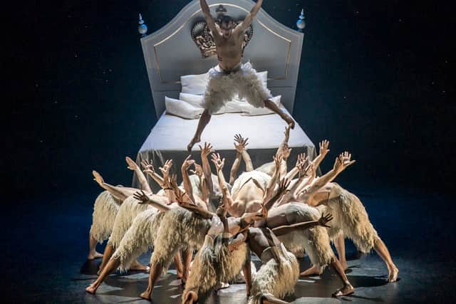 Matthew Bourne's Swan Lake. Pictures by: Johan Persson