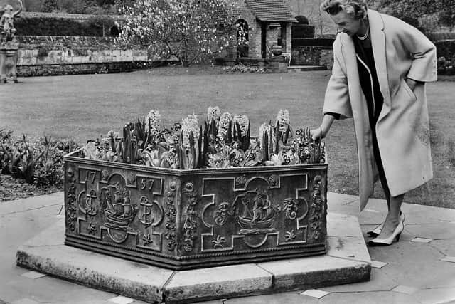 'Mrs M H Rollason pictured in the grounds of her historic home,' April 1962. The story reads: 'If your 'garden' at home happens to be a window box, or if you have a garden and you want a rest from gardening, there's nothing nicer than a visit to someone else's gardens. This Sunday it could be a visit to lovely, historic Ludstone Hall at Claverley. Because that is the day that Mr and Mrs M H Rollason are allowing the grounds of the hall to be open to the public. All in aid of a cause...'
