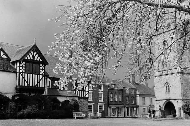 Spring blossom in full bloom beside Holy Trinity Church, Much Wenlock, April 1970.