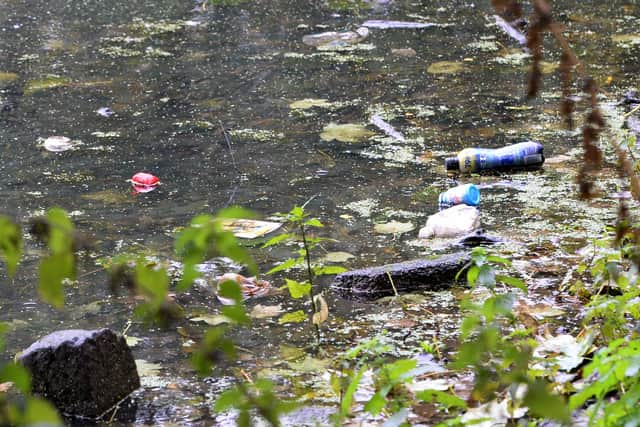 Plastic bottles in the water