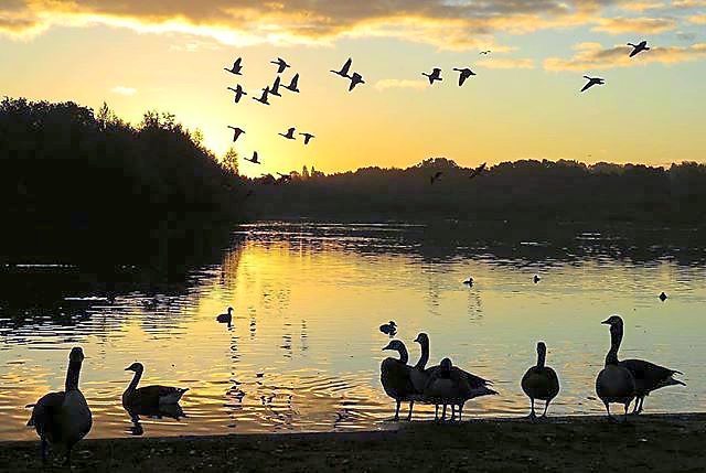 9 places to catch stunning sunsets over the West Midlands - including ...