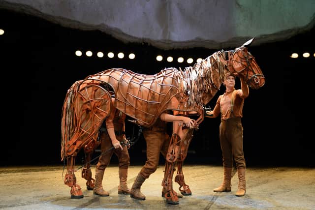 "The flawless puppetry doubtlessly makes this performance exceptional"