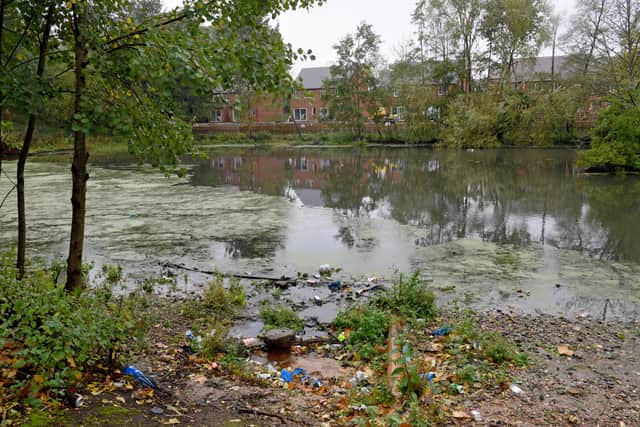 The Victoria Park pool
