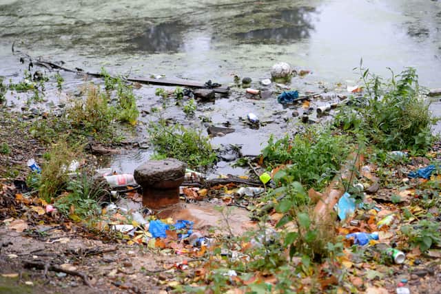Litter built up around the side of the pool