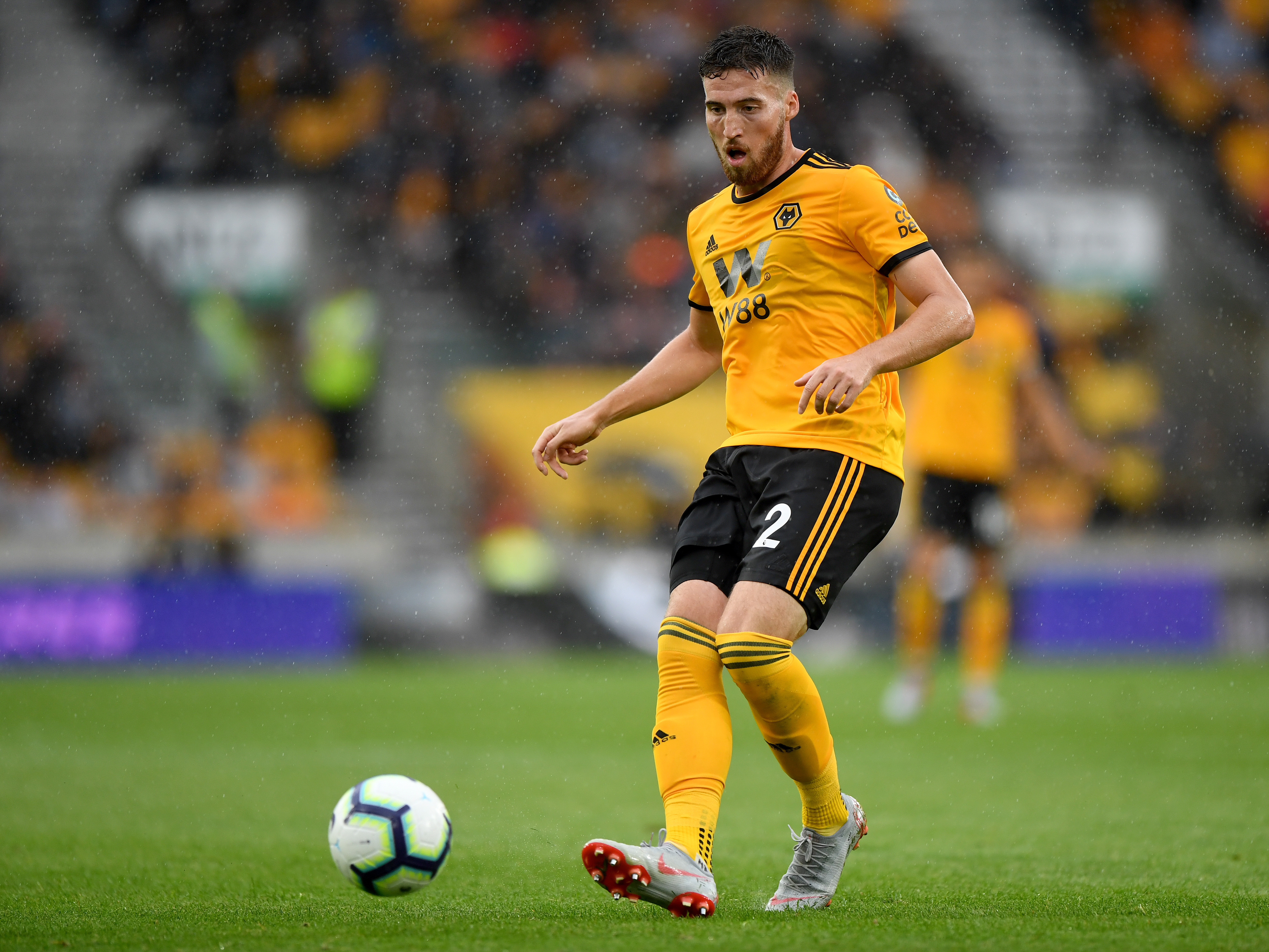 Matt Doherty excited by Wolves' new signings