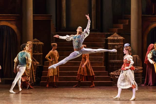 Romeo and Juliet. Photo by: Bill Cooper