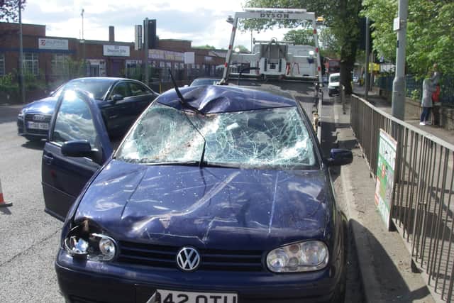 Horse left for dead by owners after being hit by car