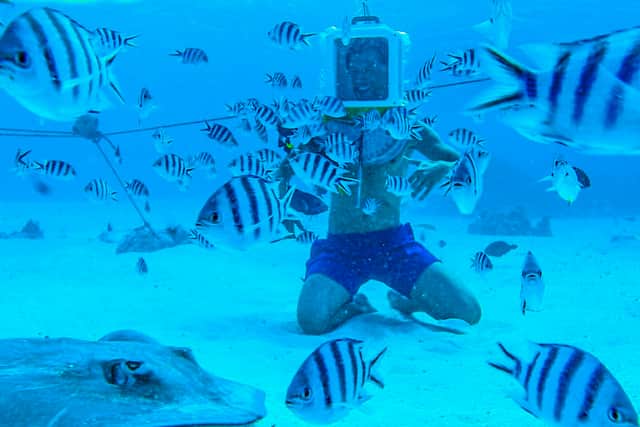 Diving in Bora Bora.
