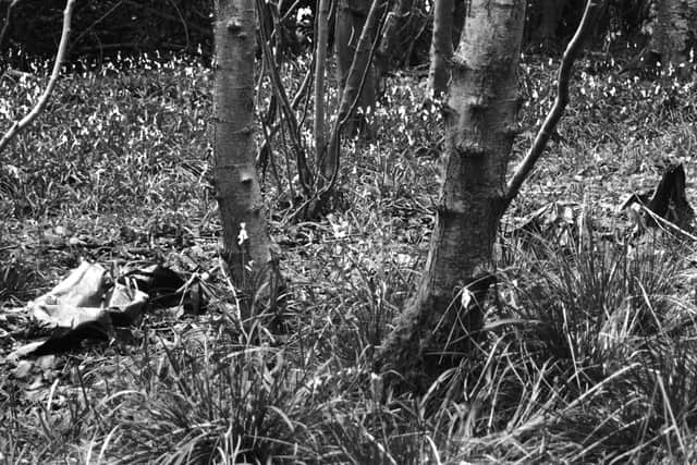 A site on the Hagley Hall Estate