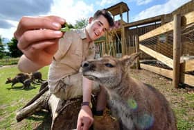 WILD Zoological Park