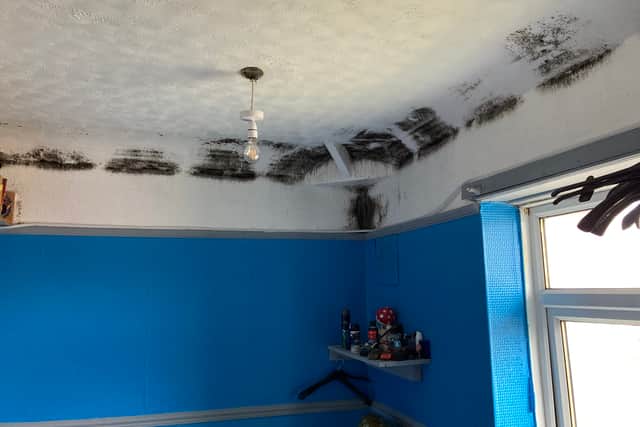 Mould in a child's bedroom at Kevin Smith's Stourbridge home. Photo: Martyn Smith/LDRS