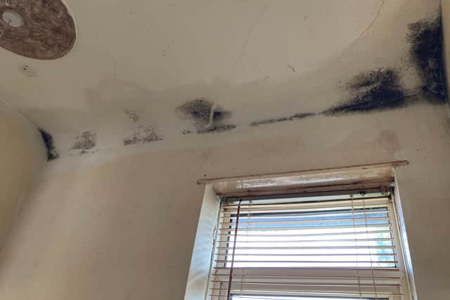 Mould in Kevin Smith's Stourbridge home. Photo: Martyn Smith/LDRS