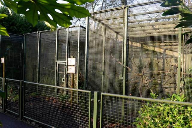 The parrot aviaries which are due to be worked on