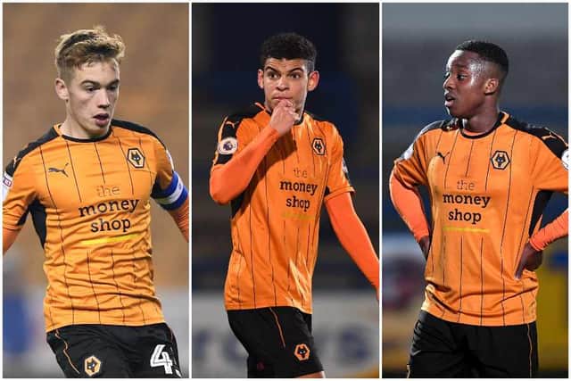 Review of the year: The best - and worst - of Wolves in 2016