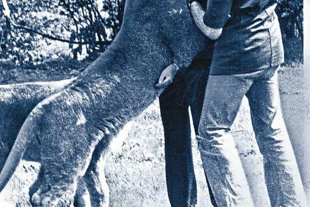 The moment a lion grabbed the woman by the throat