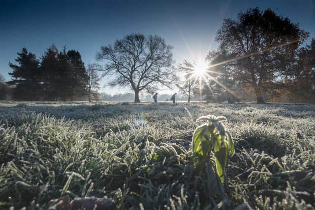 Bantock Park in Wolverhampton on Tuesday morning. Photo: Wolverhampton council