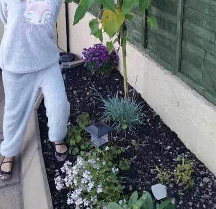 Yvie-Shai Whitehouse and the remarkable sunflower that she's grown from a single seed