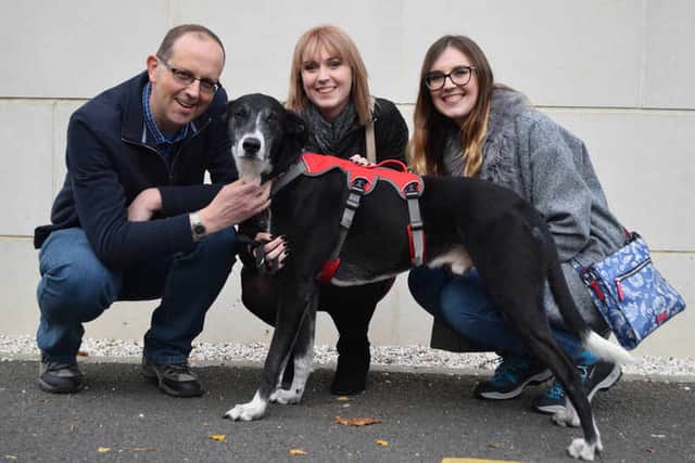 With his new Bud-dies – Battersea's unluckiest dog has seen his fortunes change with the Corns family in Kingswinford