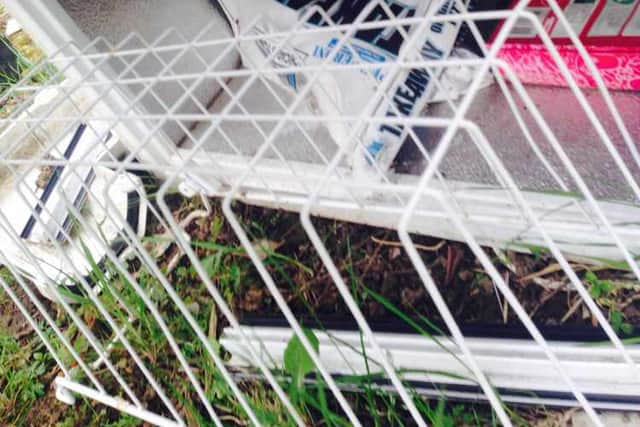 Fridge freezers full of pizzas were dumped