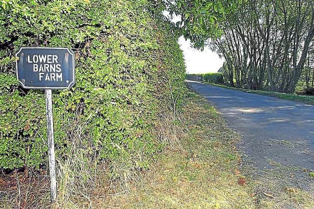 The country lane where Kevin Nunes was executed in a firing squad-style attack