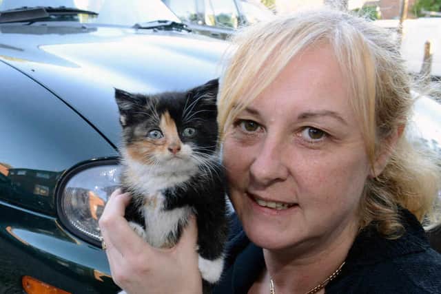 Lucky was judged to be in good health by the RSPCA