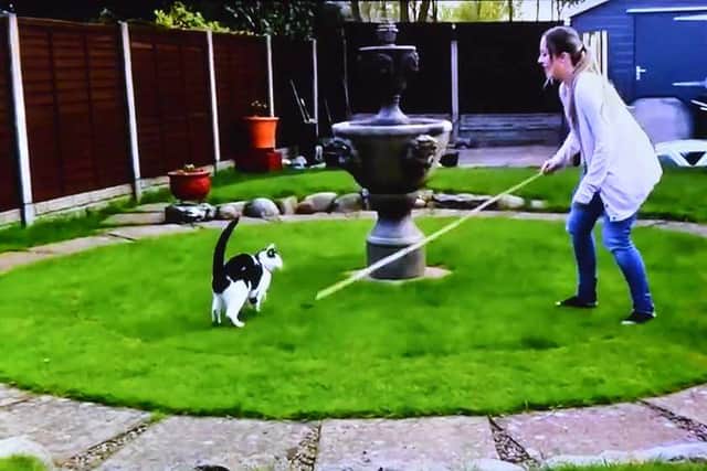 A still from the advert