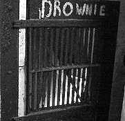 Drownie – it is unclear how this bear got its name