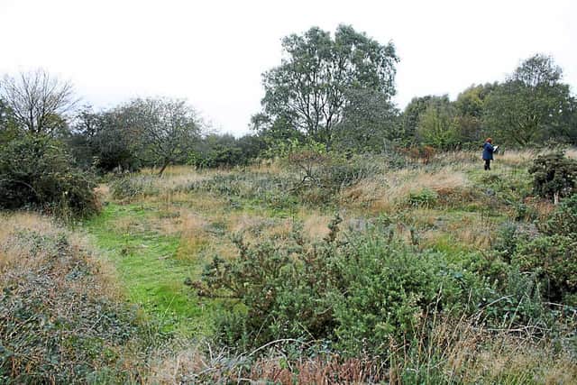 The site on the Chase which will be dug up in an effort to uncover a scale model of one of the First World War's bloodiest battlefields