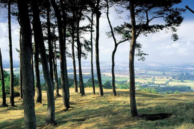 Clent Hill landscape view