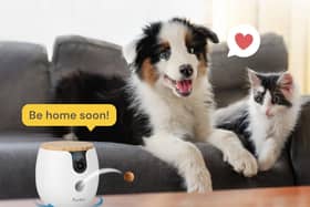 Furbo’s clever camera can even toss out a treat
