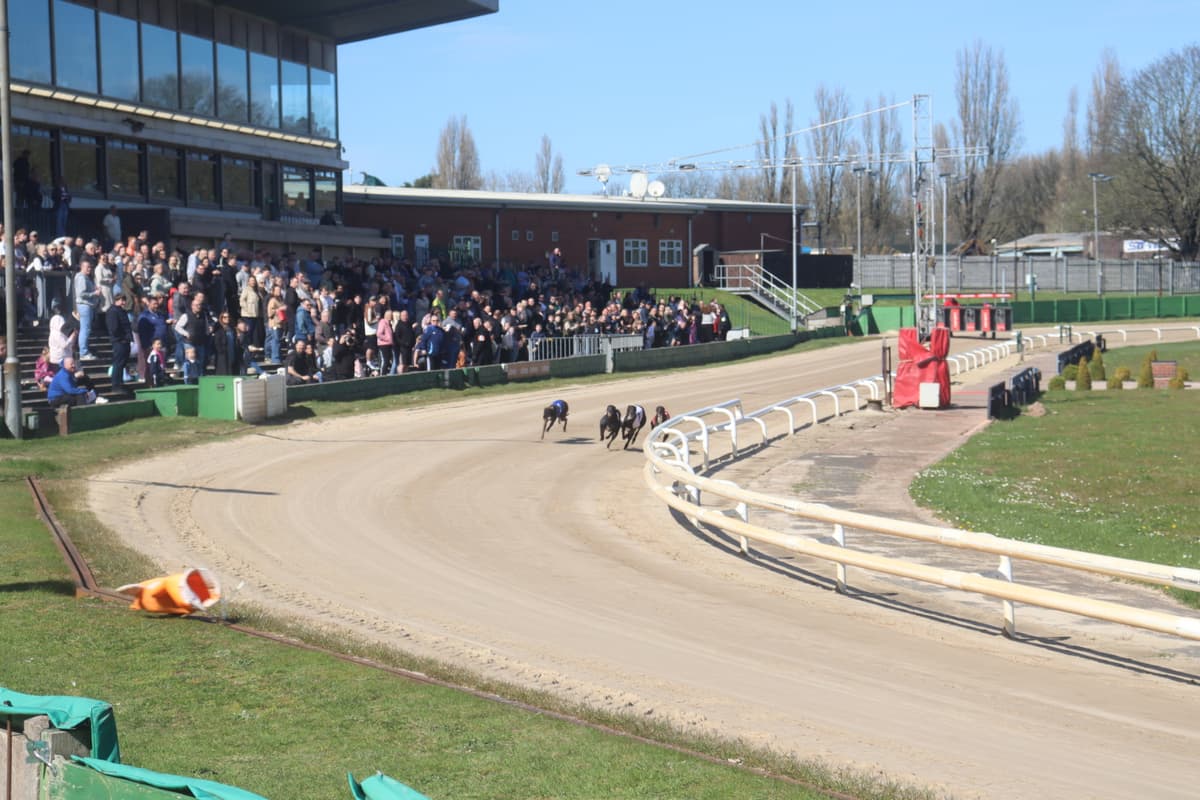 Die neue Greyhound-Meisterschaft ist in Monmore Green gestartet