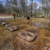 Sherbrook Stepping Stones on Cannock Chase