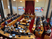 The Dudley Council Meeting in April 2026 where councillors approved a Notice of Motion to review how quickly disability grants are processed.