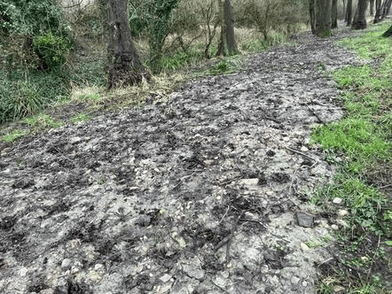 Waste dumped by council at Walsall Aboretum