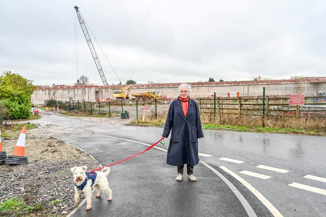 Water Orton resident Felicitas Freeman says "it's like we are collateral damage in the supposed national interest."