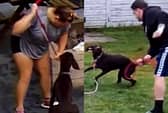 Pet sitters Paige Williams and her partner Bradley Archer were caught on camera kicking and hitting dogs they were minding at a Solihull family’s home.