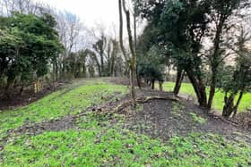 More than 11 acres of land in the Black Country being auctioned by Bond Wolfe