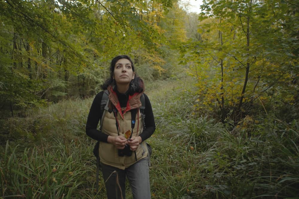 Our Land film being shown in independent cinemas