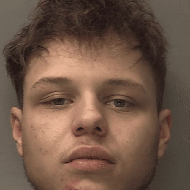 Man pleads guilty to causing death by dangerous driving after tragic ...