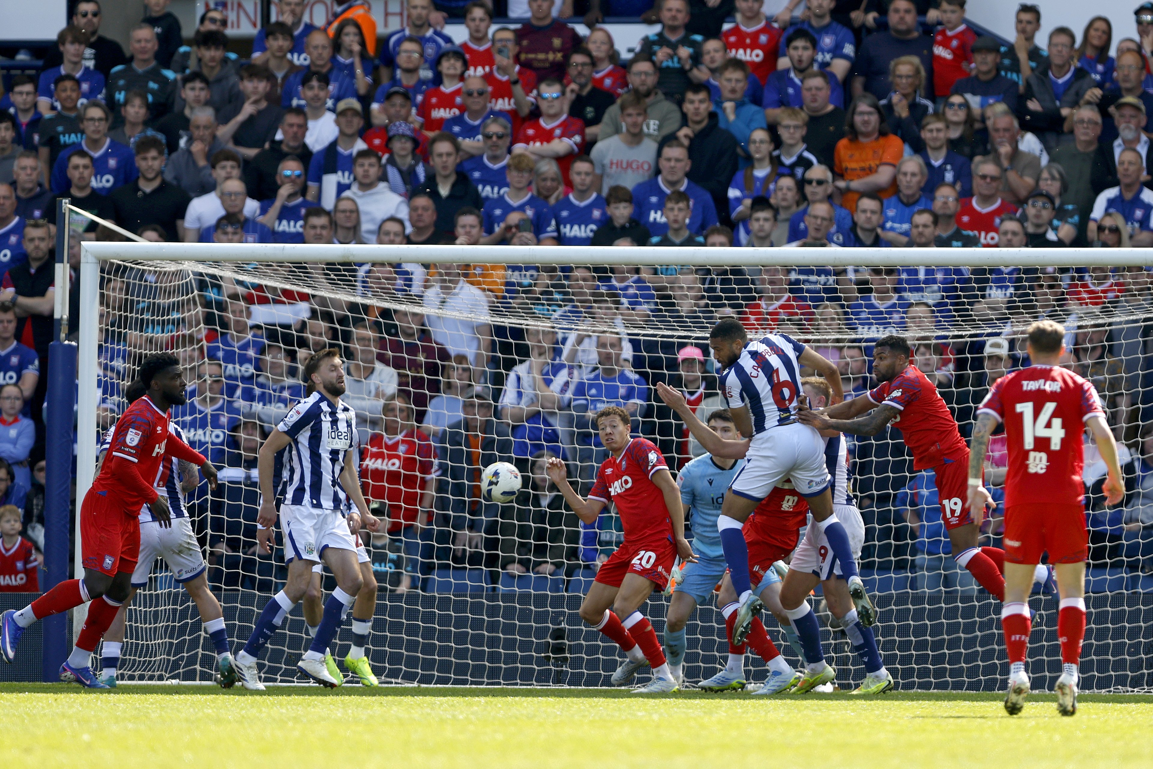 'Settled on the field': Jubilant West Brom fans react to Albion securing ...