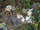 A couple from Birmingham have been given a life ban after dumping 90 pet rabbits in a woodland in the Midlands. 