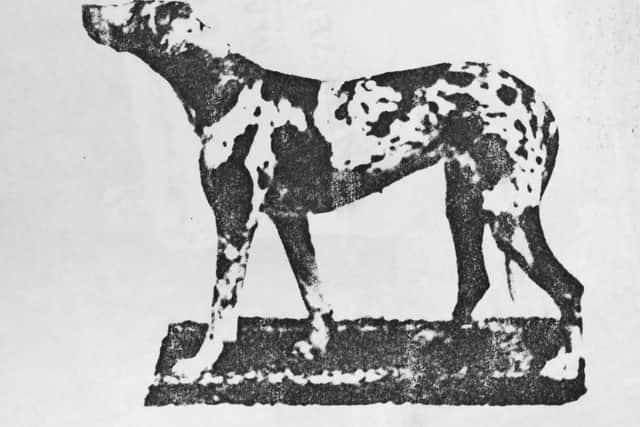 Freda, the Harlequin Great Dane mascot of the 5th (Reserve) Battalion New Zealand Rifle Brigade